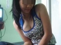 Cochonne de Melun pour un plan régulier